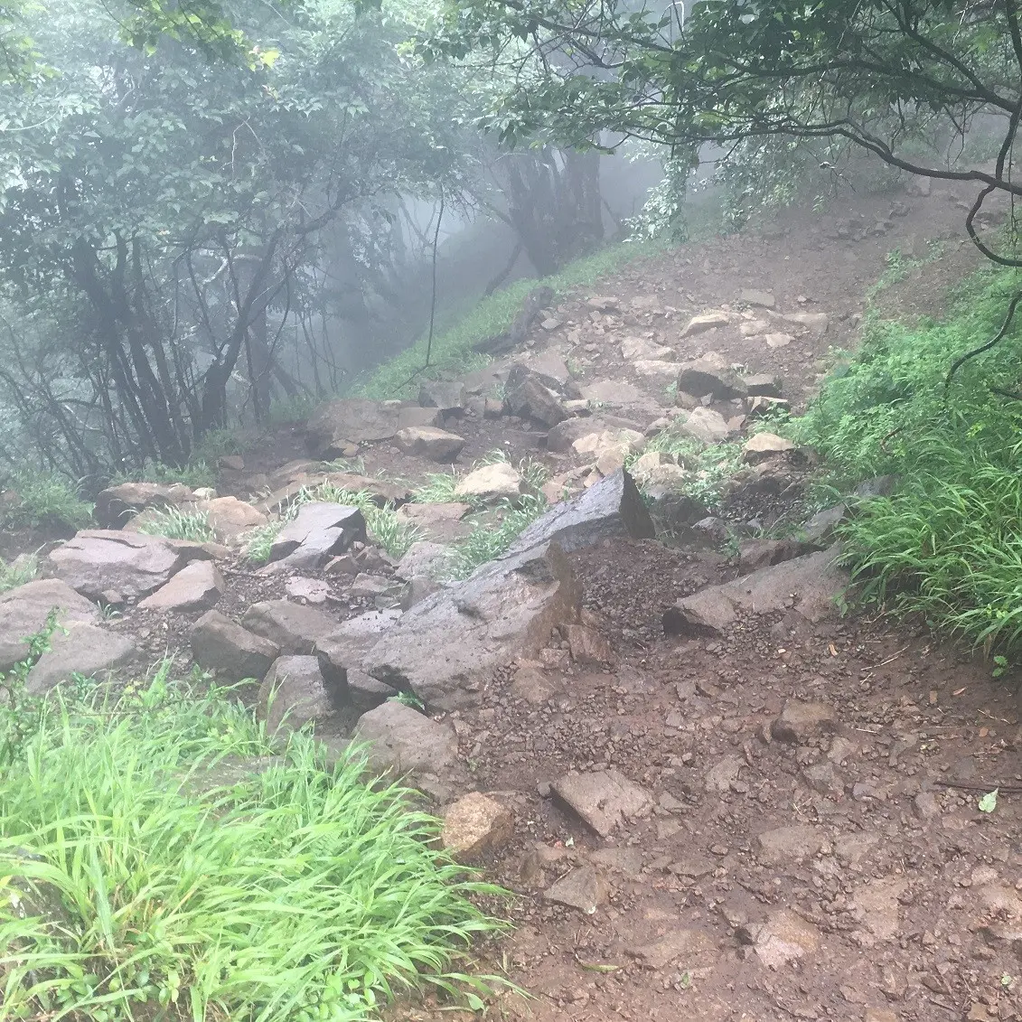 もはや階段ではありません。岩場です。