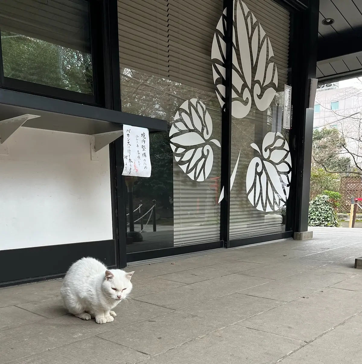 愛宕神社へ初詣♪の画像_17