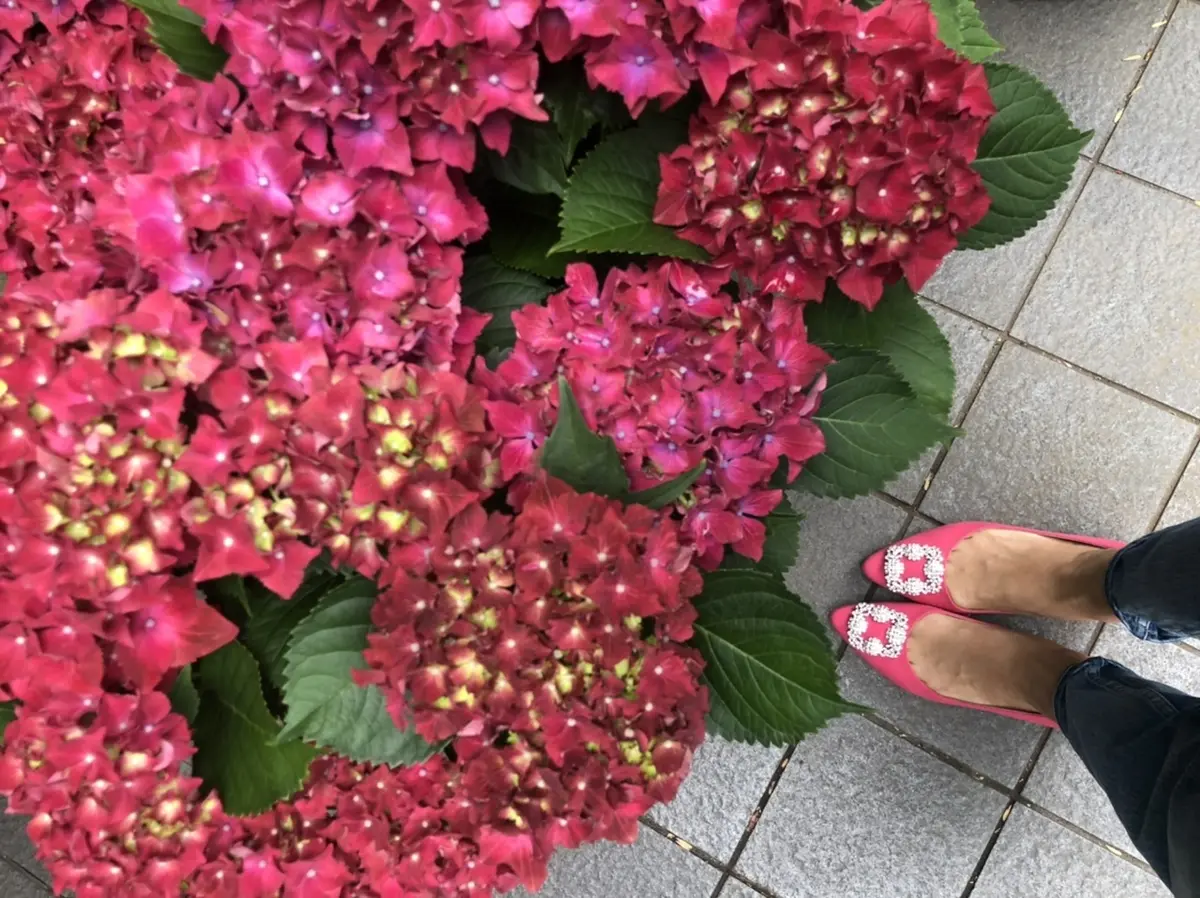 マノロハンギシ3styles♡の画像_9