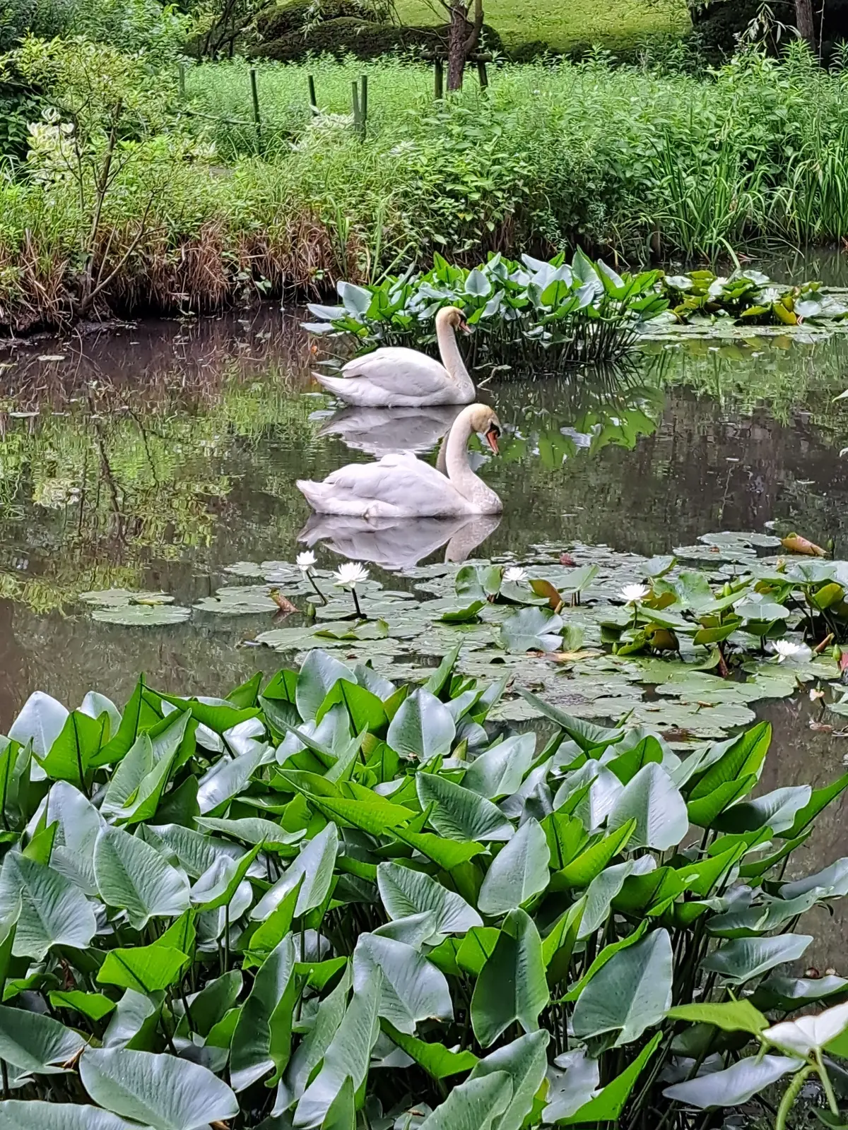 私にとって唯一無二の場所 DIC川村記念の画像_15