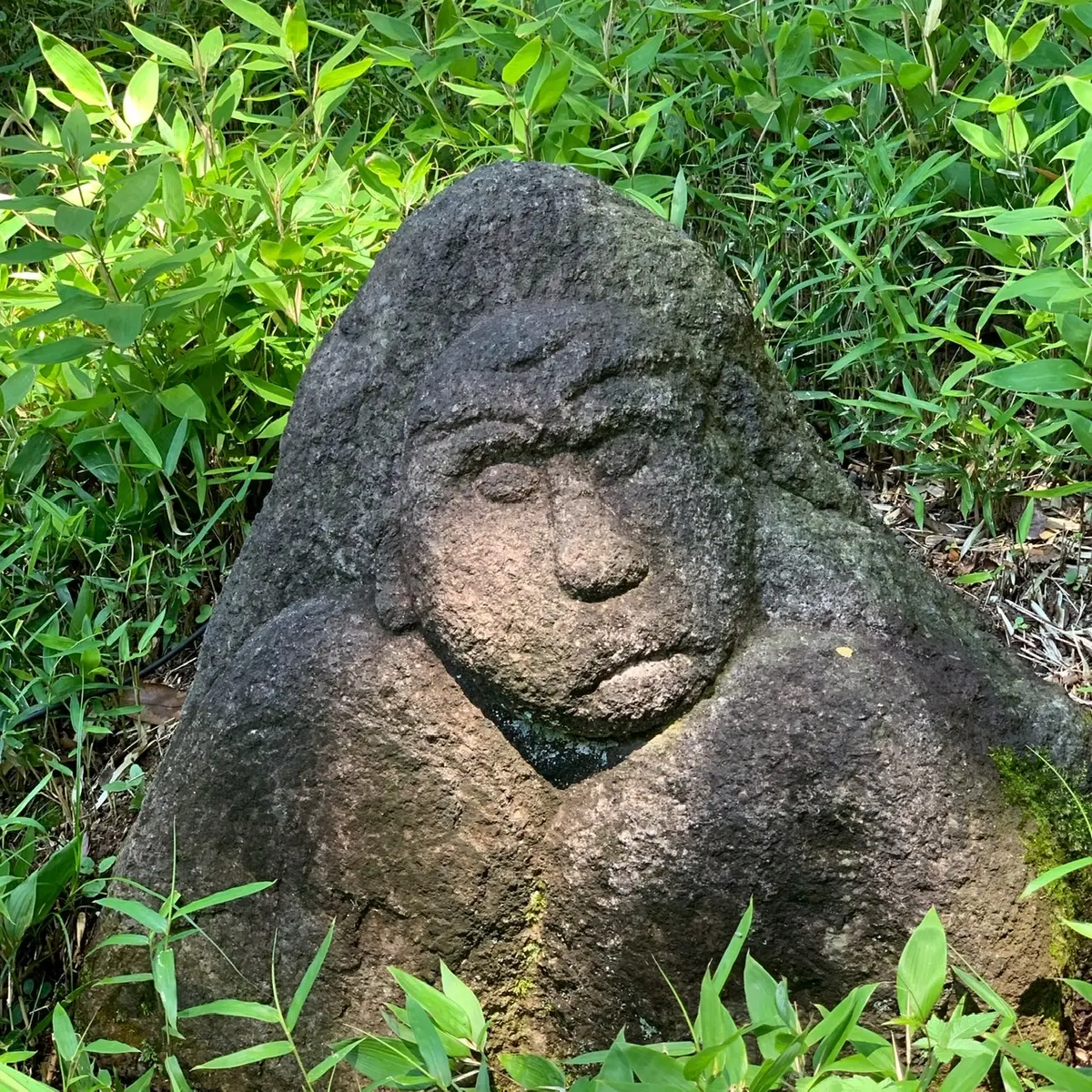 20体、内の一体