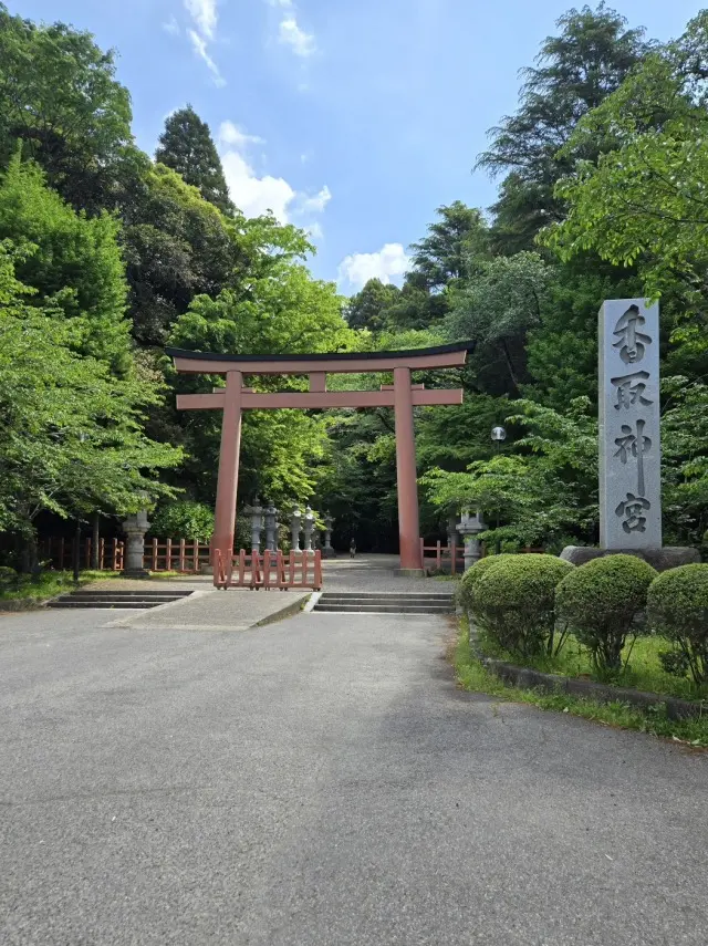 コーディネートで振り返る5月の画像_1