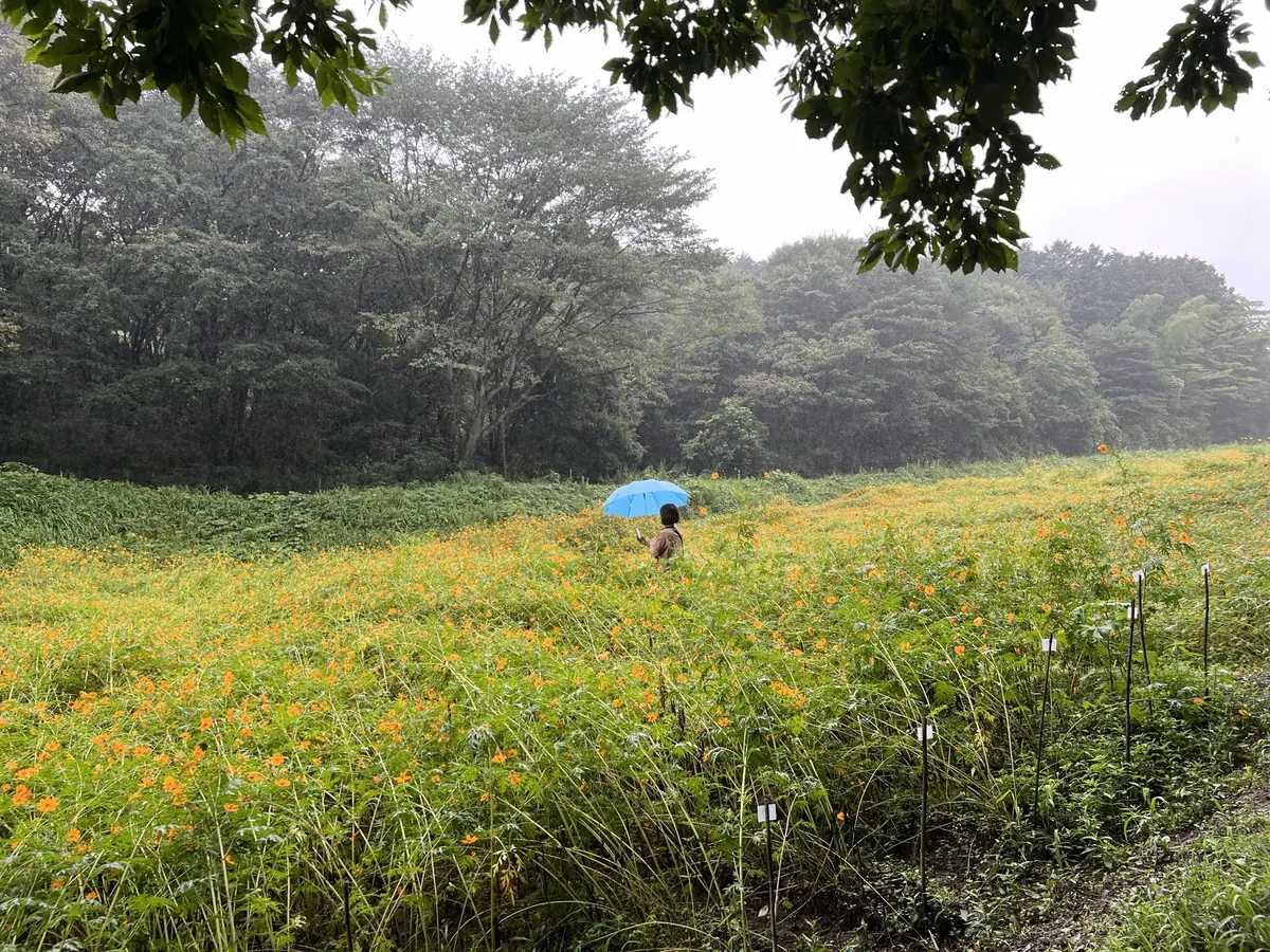 うつのみや文化の森