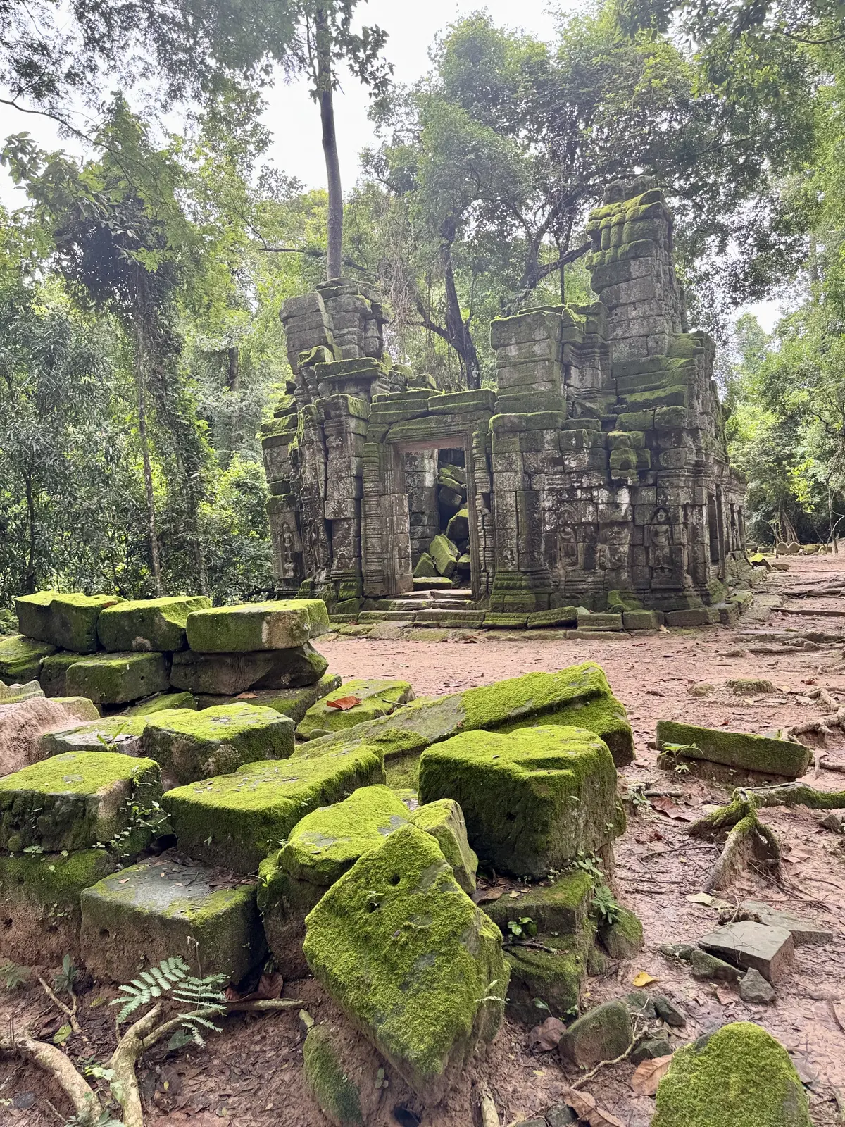 夏旅 to CAMBODIA🇰🇭後編（必の画像_24