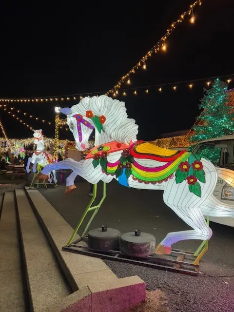 ドイツ村のウィンターイルミネーション素敵の画像_7