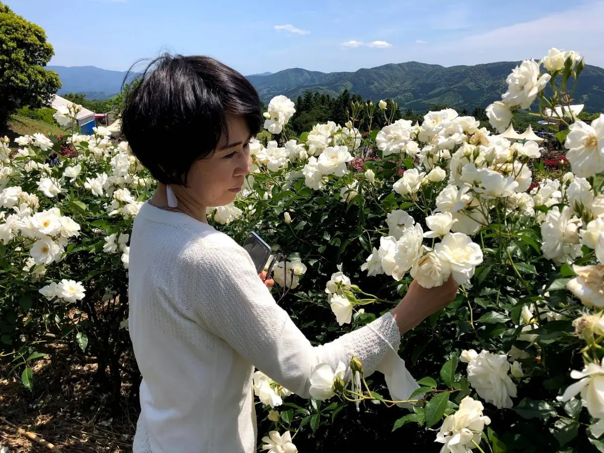 白いバラの美しさに見入っています