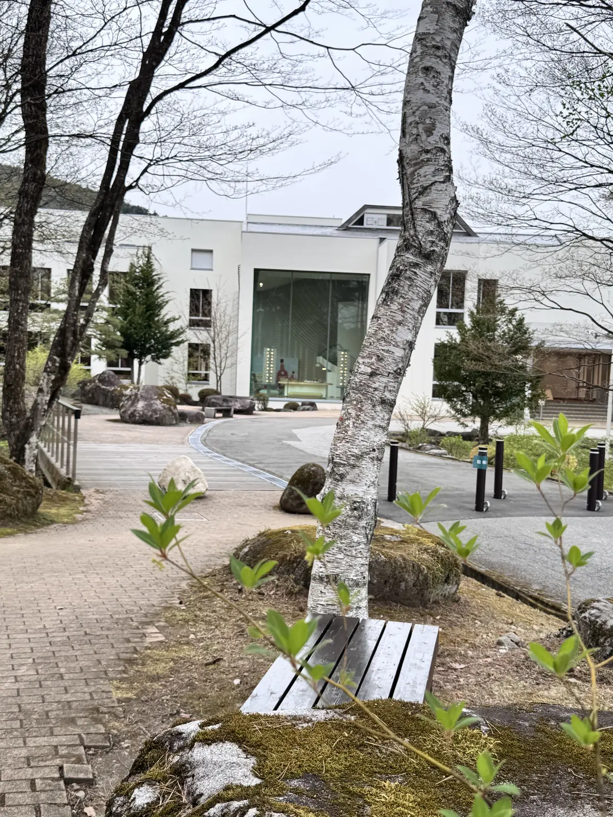 リッチブラウンでパンツコーデ。”旬”を取の画像_7