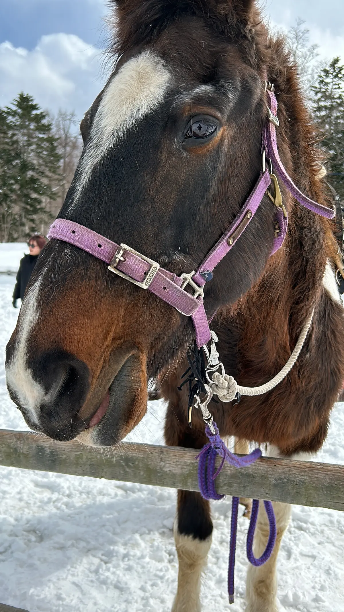 春休みの思い出＠パークハイヤットニセコの画像_17