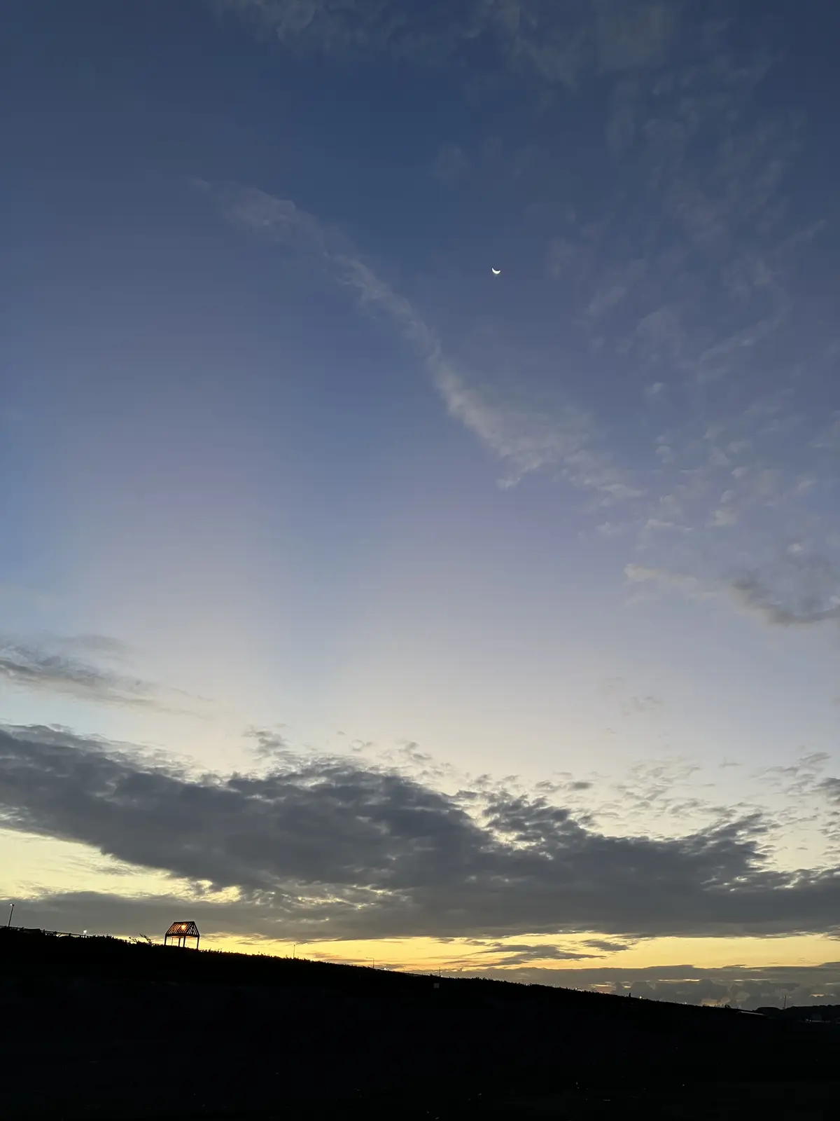 朝活スタートしました♪の画像_3