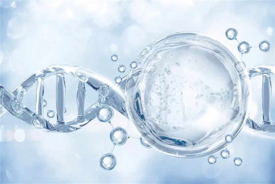 【魅力や効果、先進性etc.。知っていなの画像_2