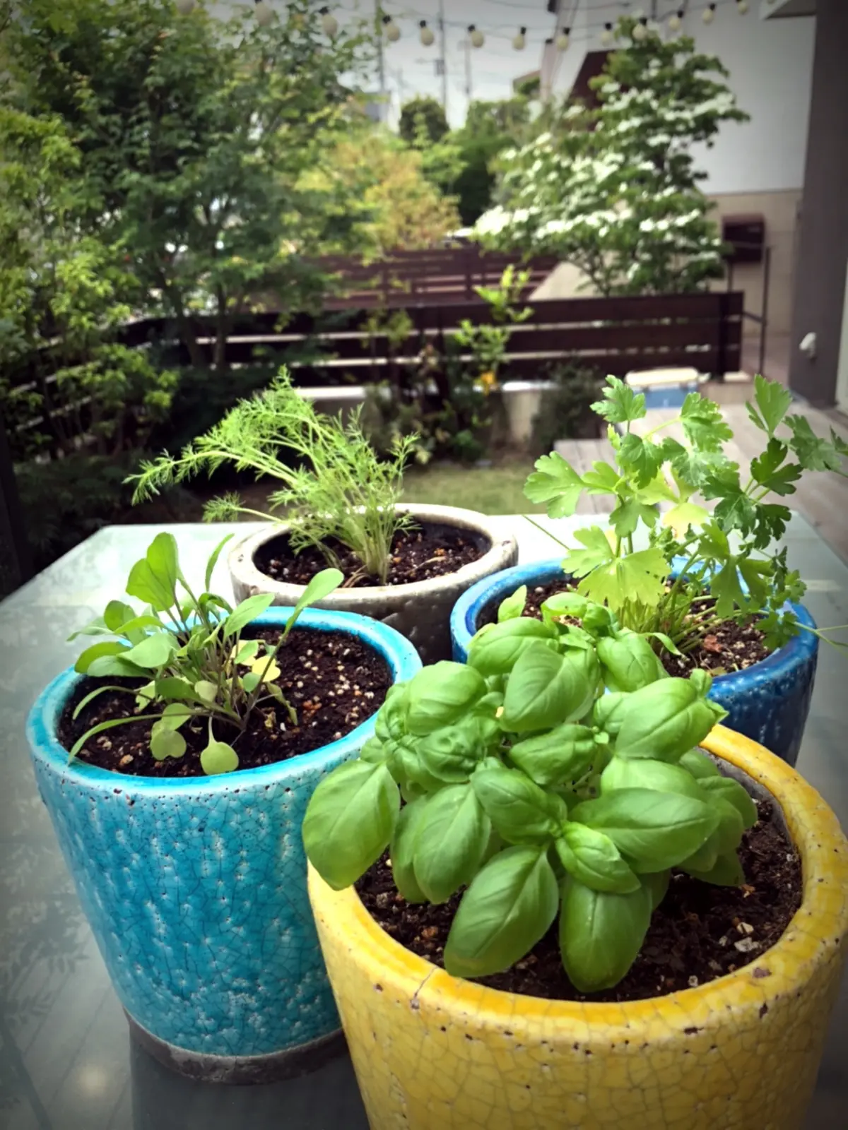 おもてなし料理の画像_2