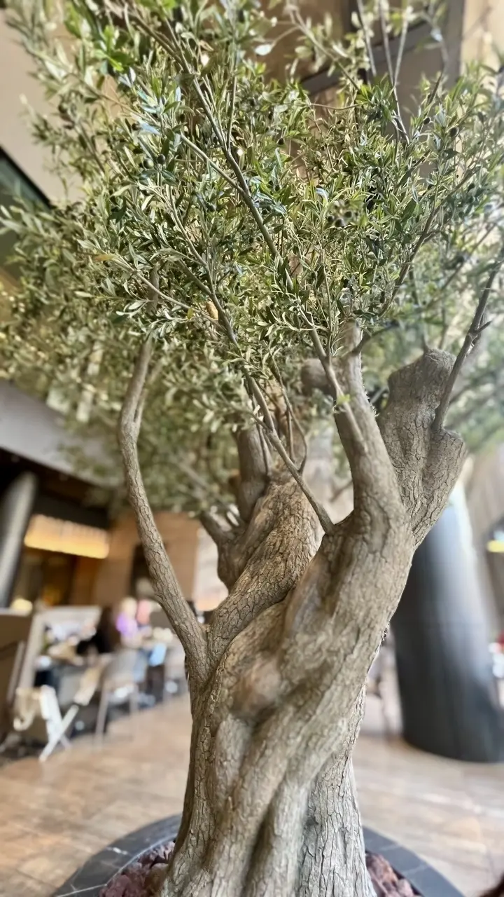 洗練された空間で味わう、ジャヌ東京メルカの画像_4