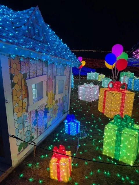 ドイツ村のウィンターイルミネーション素敵の画像_2