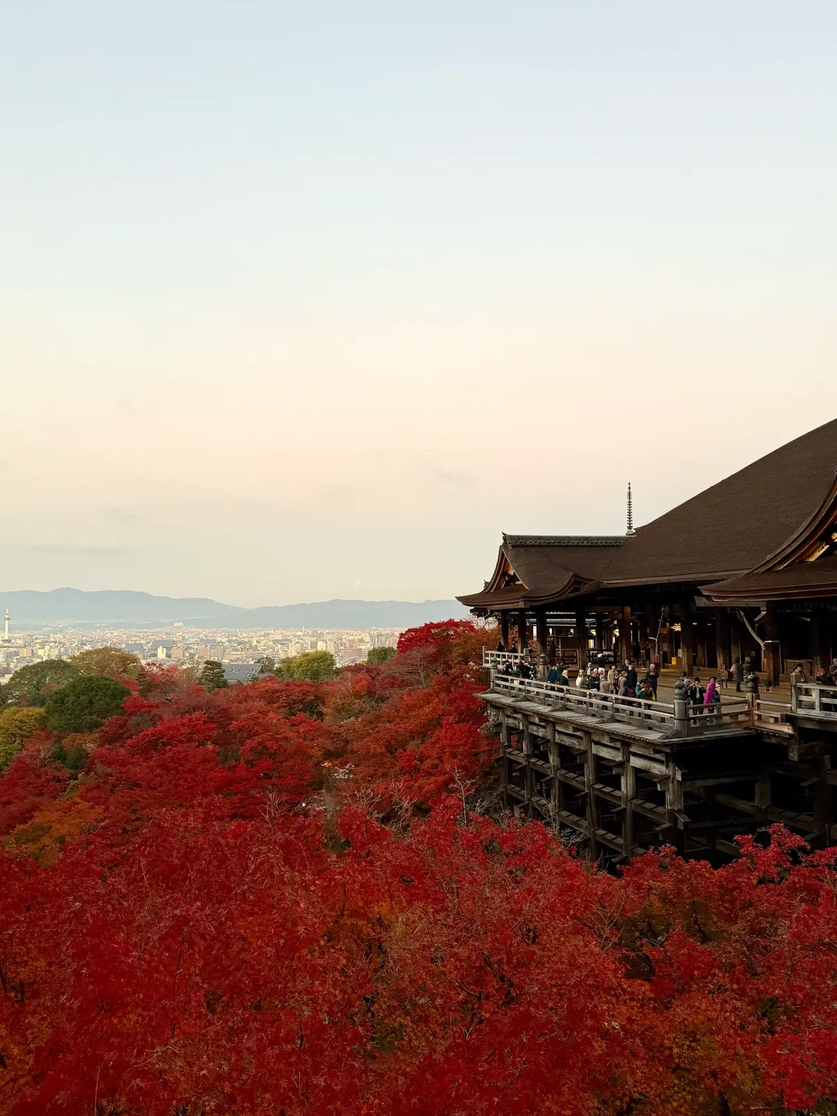 【大人の京都】寺院仏閣とお気に入りの秋のの画像_9