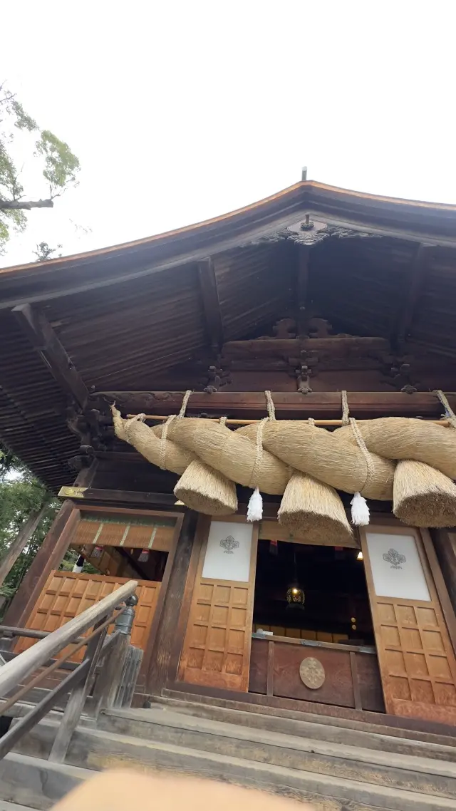 ブラウンＶネックラメカーディガンで、長野の画像_3