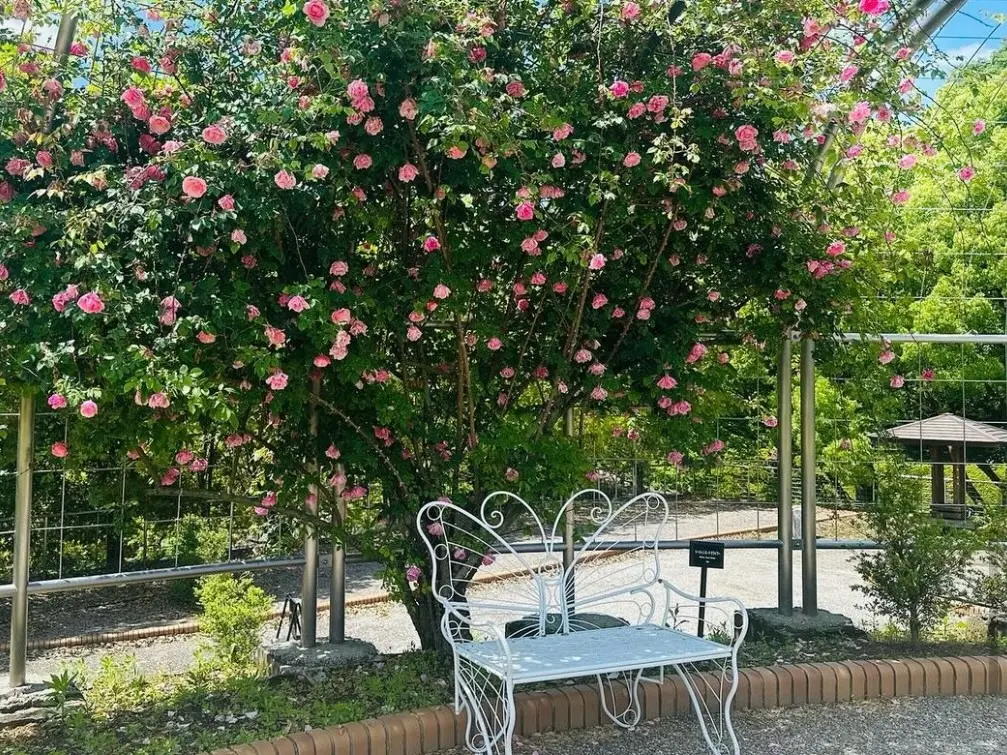 ぎふワールド・ローズガーデン「オールドローズガーデン」