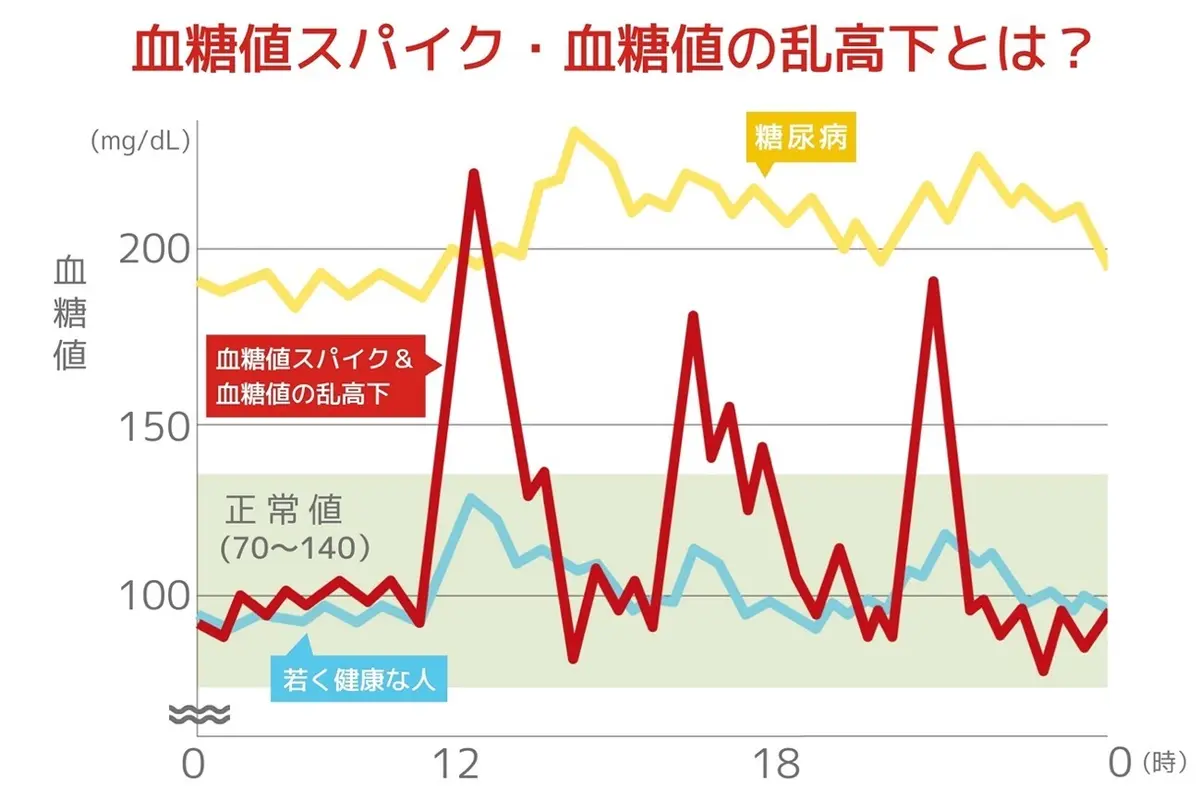 OurAge×Webエクラ　血糖値スパイク・血糖値の乱高下とは？