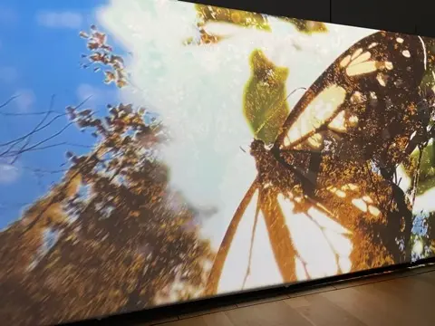 芸術鑑賞Dayで癒されるの画像_10