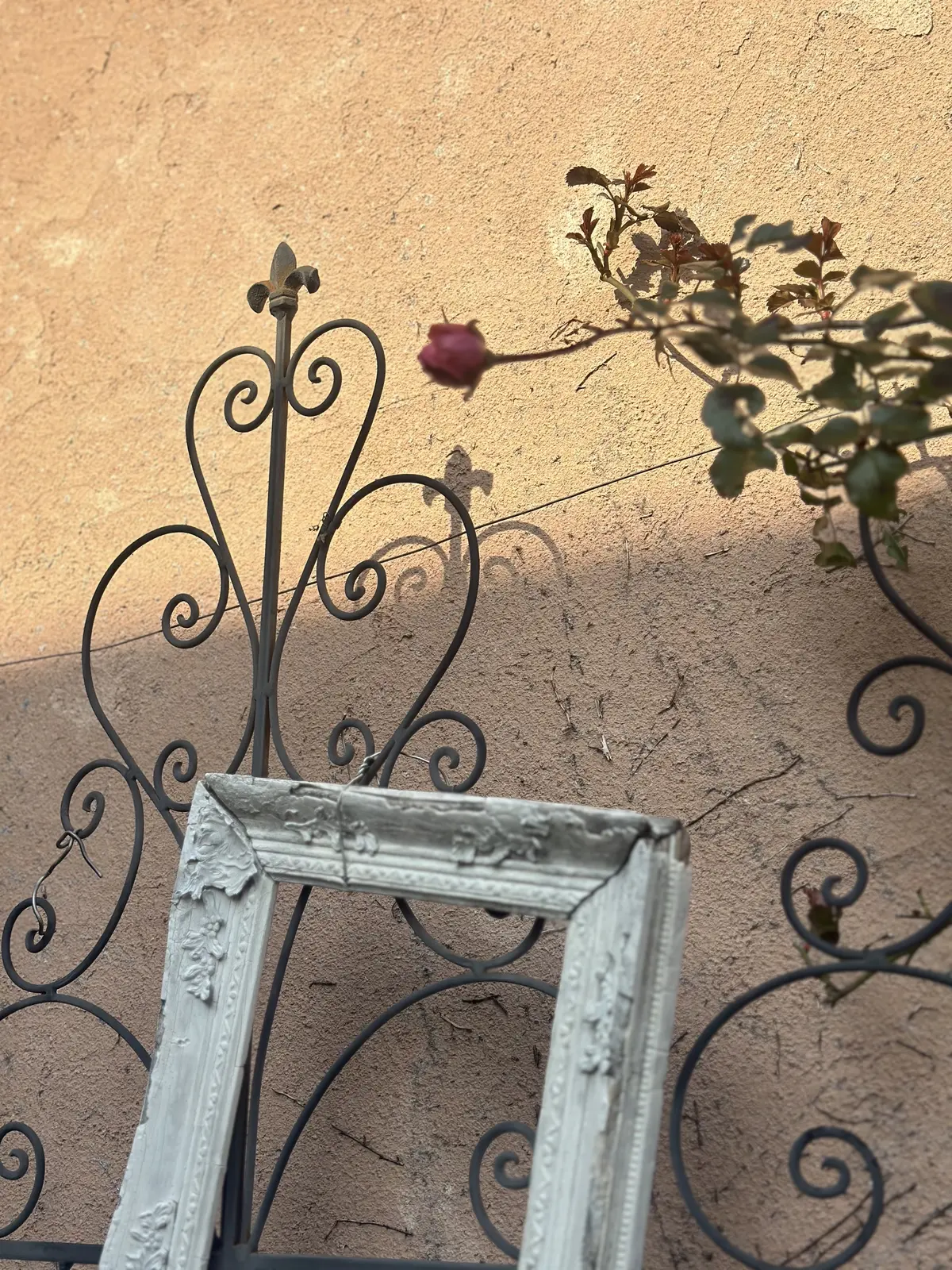 春分あけ、春の陽気に包まれて・・・の画像_9