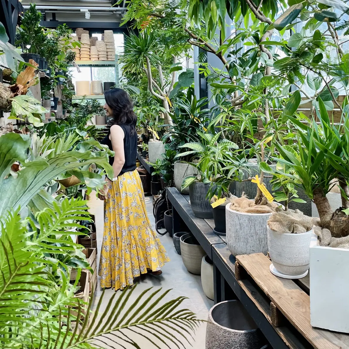 「the Farm UNIVERSAL」で植物を選んでいるところ