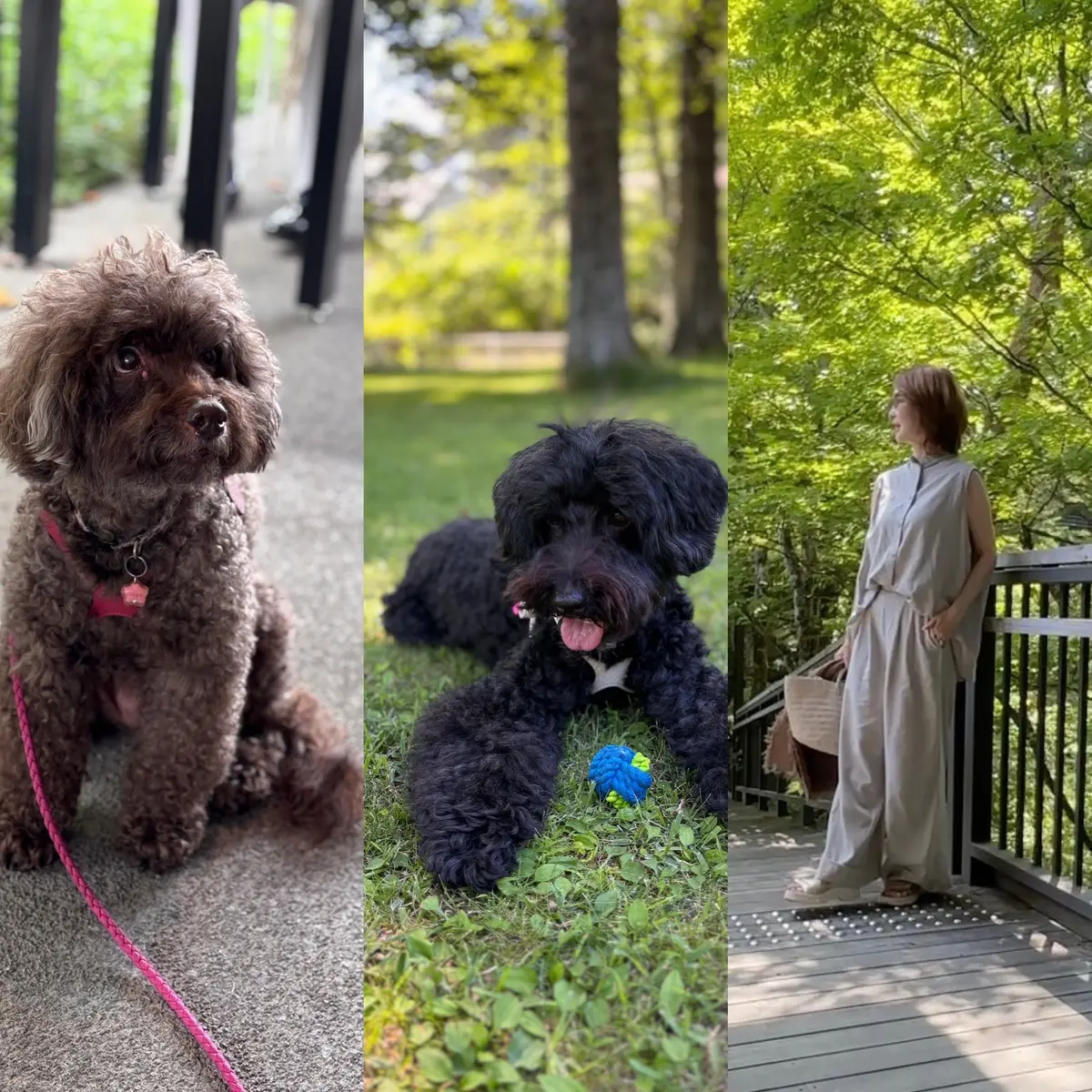 軽井沢⭐︎セットアップでカフェめぐりの画像_2