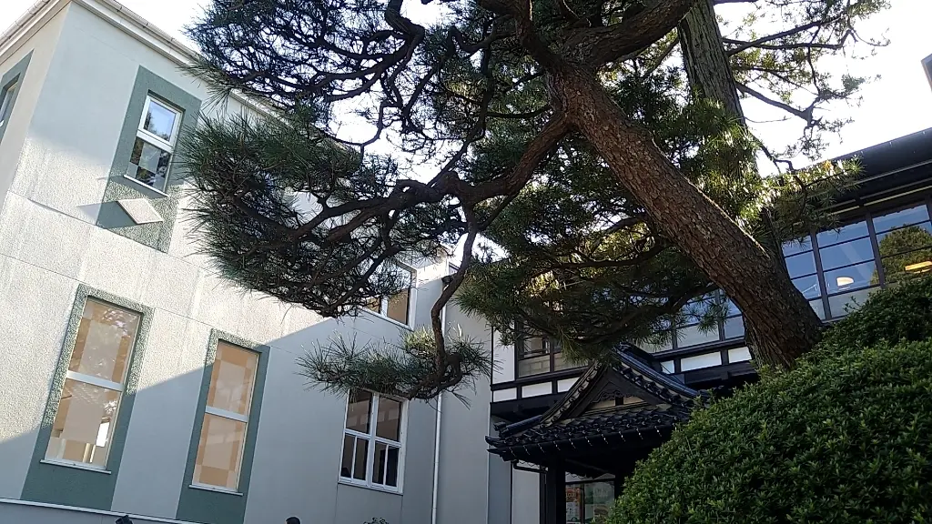 ヒヨリベーカリーと日和亭