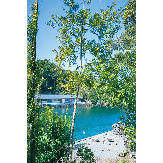 森の散策道からの眺め。海辺の広場で、薪割りや火熾しの体験を行ってい る。対岸に見えるのが客室「OKI TAKA」