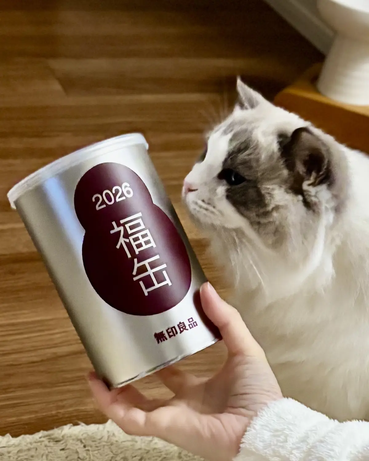 福缶と猫（下の子）