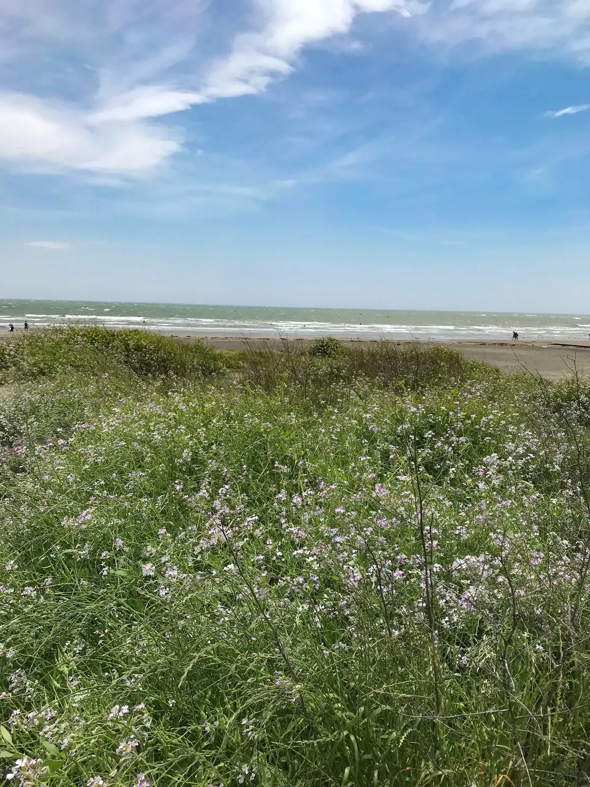 由比ヶ浜海岸　なみまちベーグル　鎌倉