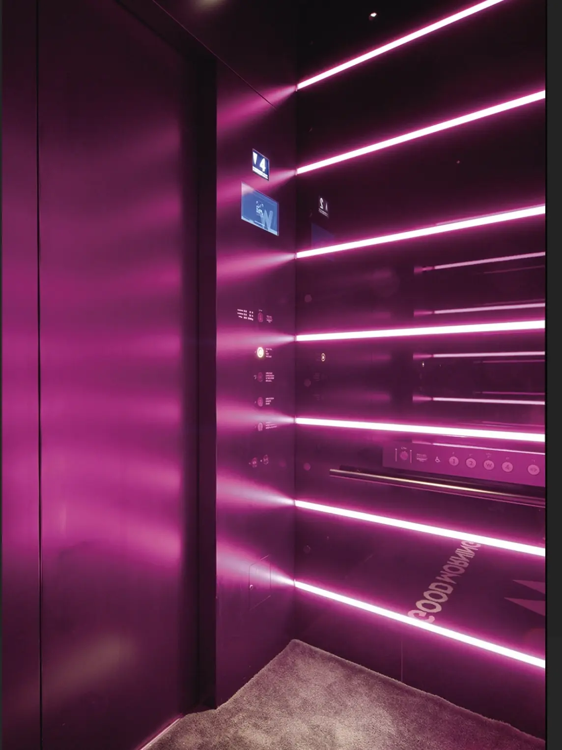 イルミネーションが煌びやかな御堂筋✨「Wの画像_7