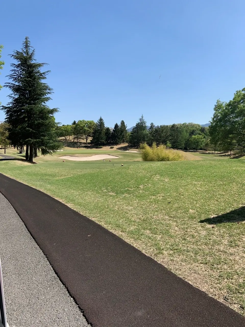 アラフィフゴルフのススメの画像_1