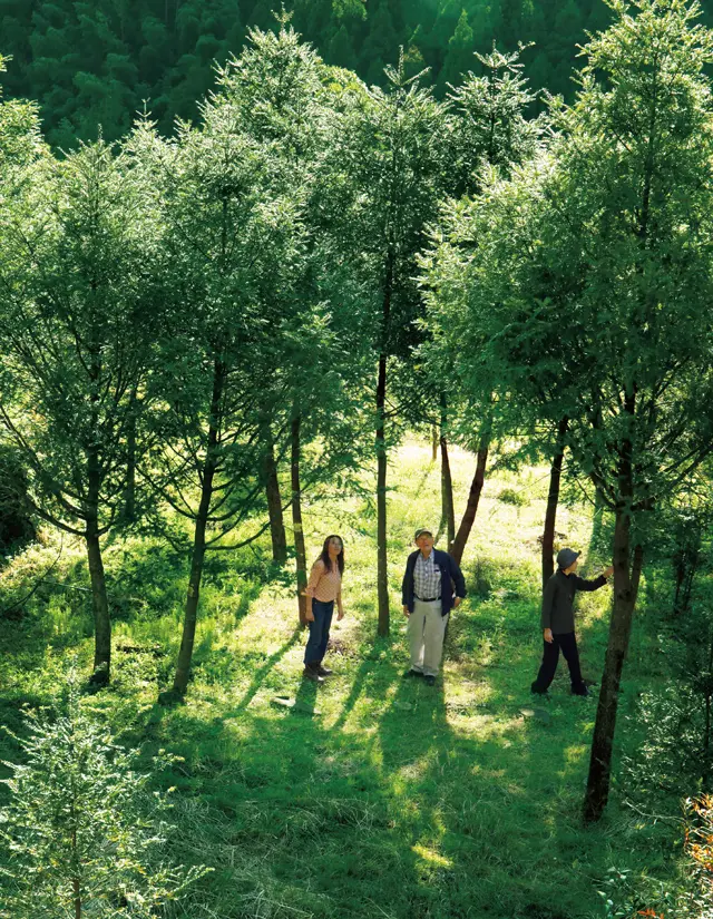 榧工房  かやの森