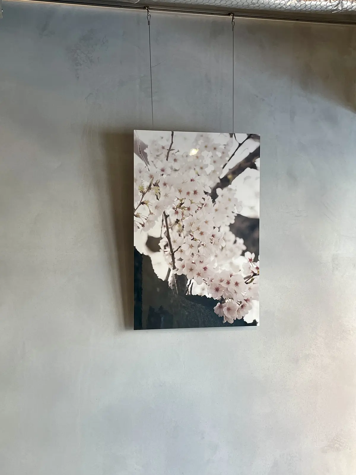 お洒落、お洒落空間、おしゃれカフェ、お洒落カフェ、絶品スイーツ、スイーツ、蜜芋、蜜芋パフェ、苺、いちご、イチゴ、ジェラート、アイス、バニラアイス、ミルクアイス、店内、グルテンフリースイーツカフェ、グルテンフリー、お芋パフェ、蜜芋パフェ、OIMOパフェ、& OIMO TOKYO CAFE、お芋カフェ、カフェ、お洒落、お洒落カフェ、おしゃれカフェ、中目黒、大人空間、桜、パネル、桜の写真、アート、インテリア