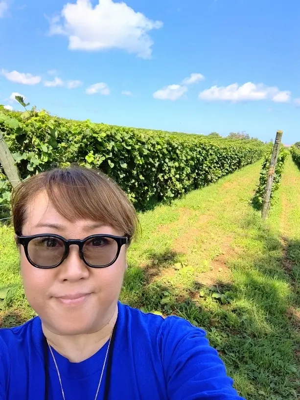 ワインを楽しむお祭り「ラ・フェト」に行っの画像_1