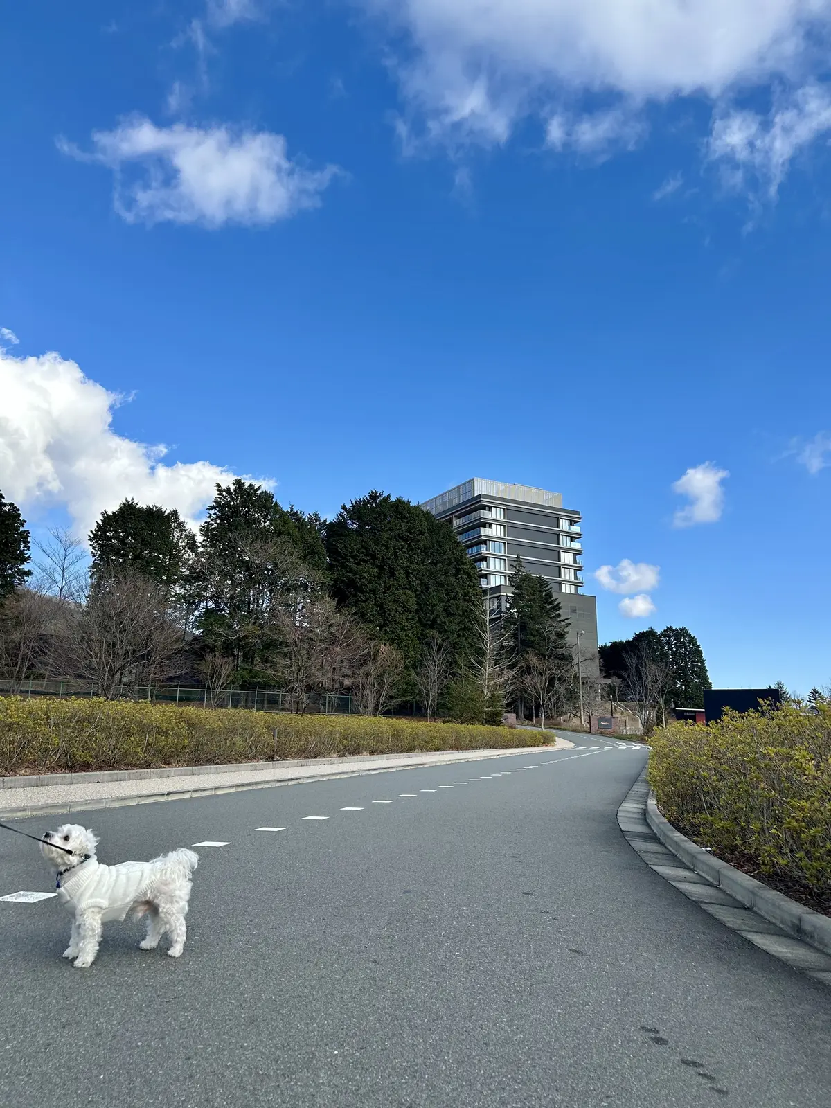 富士スピードウェイホテルで記念日ランチ♪の画像_2