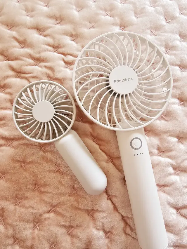 大活躍するハンディファンの画像_1