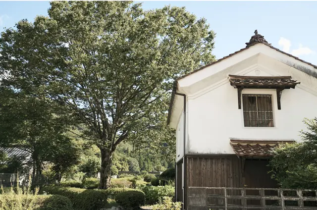 山あいの村の街道すじにあった森さんの生家は、開業医だった父の診療所、薬局、母屋を備えた広い敷地で、現在はフラワーガーデンとして跡地が残されている