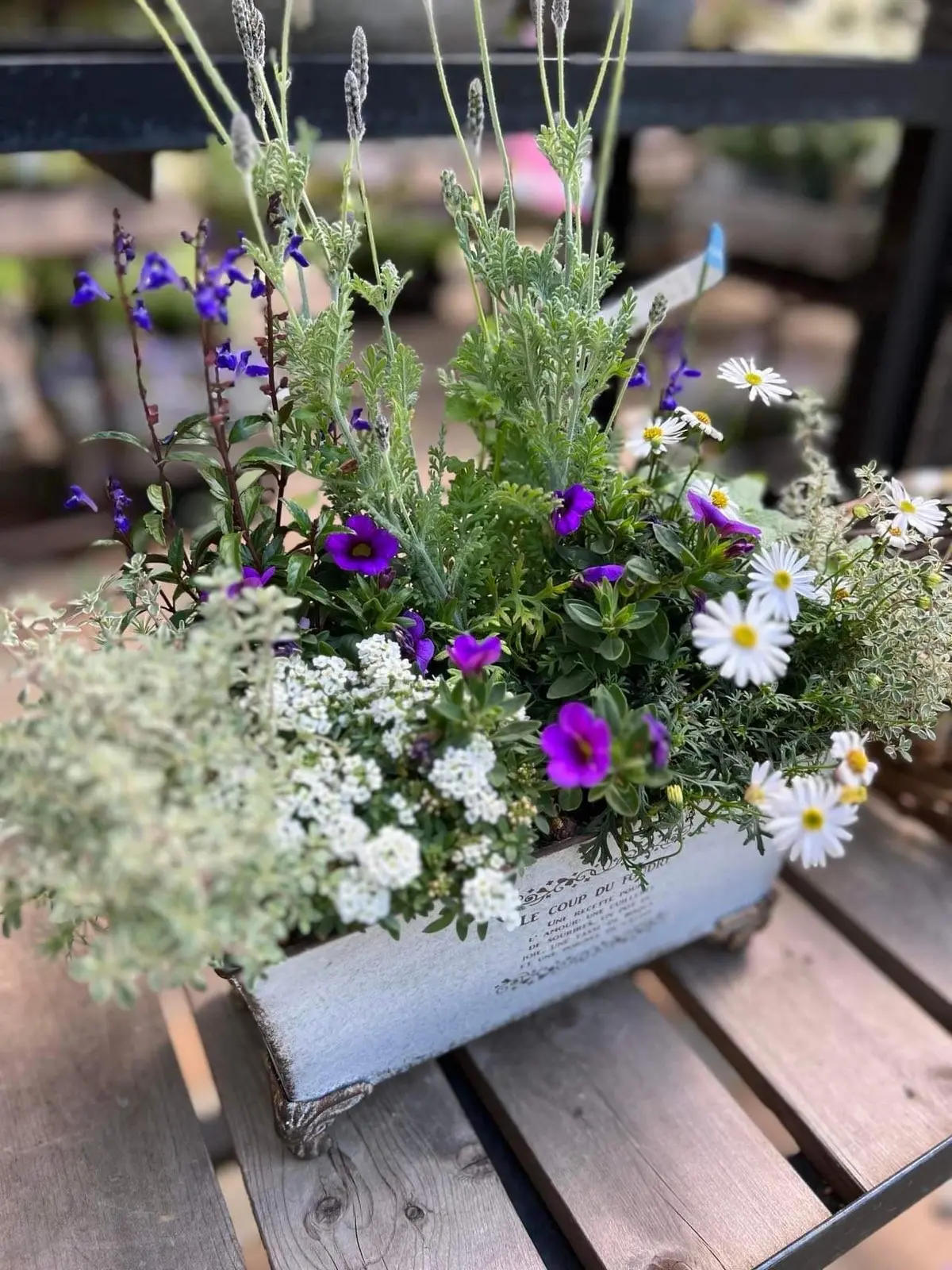 新緑の那須高原で贅沢パンケーキの画像_7