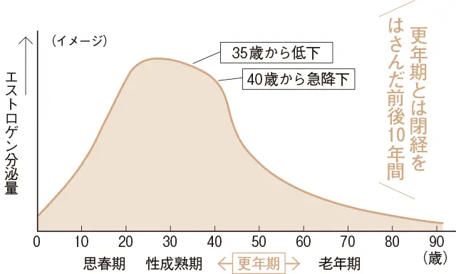 女性ホルモンの分泌量