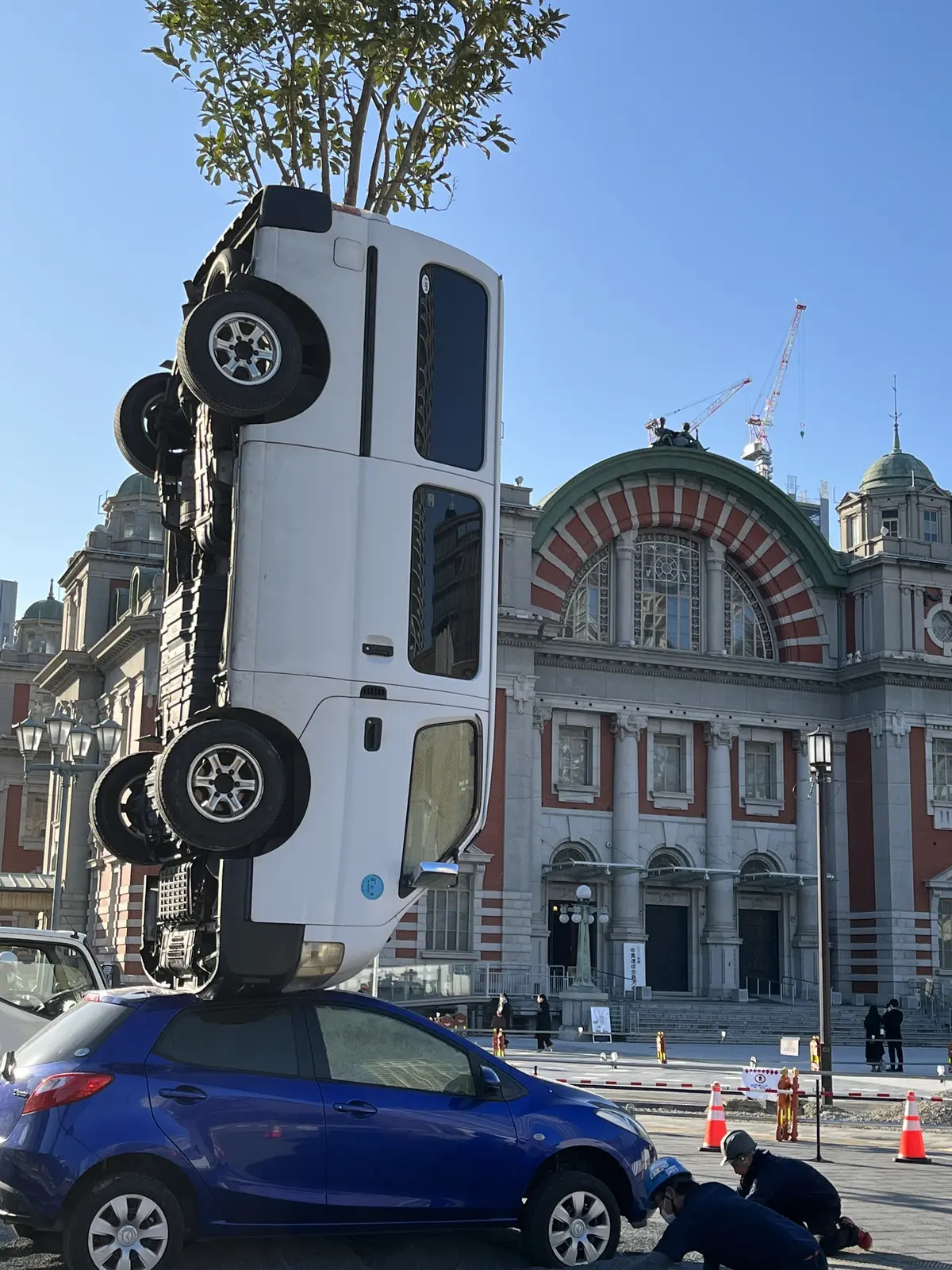 Jマダム３年目突入、、。【たかこのお散歩の画像_3