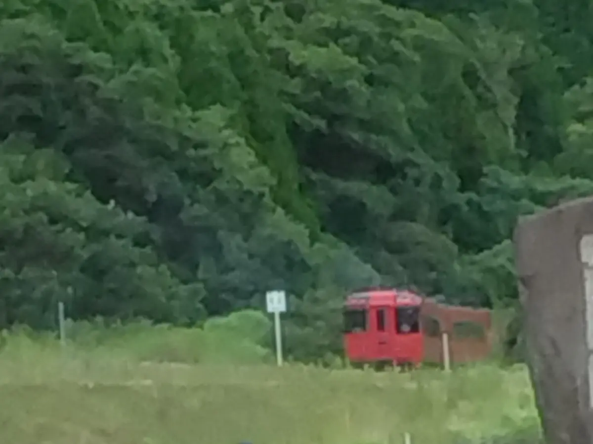 【熊本旅行】阿蘇五岳とカルデラの絶景♡観の画像_4