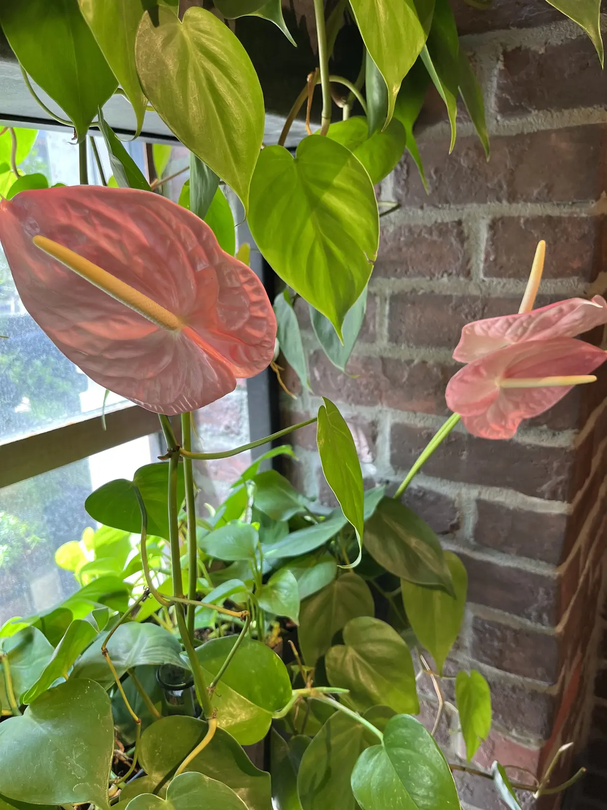 流れるように束ねるの画像_4