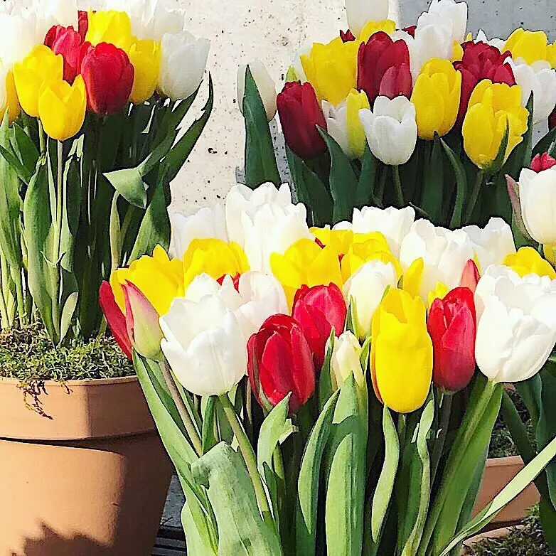 軽やかブルゾンで春へシフトの画像_6