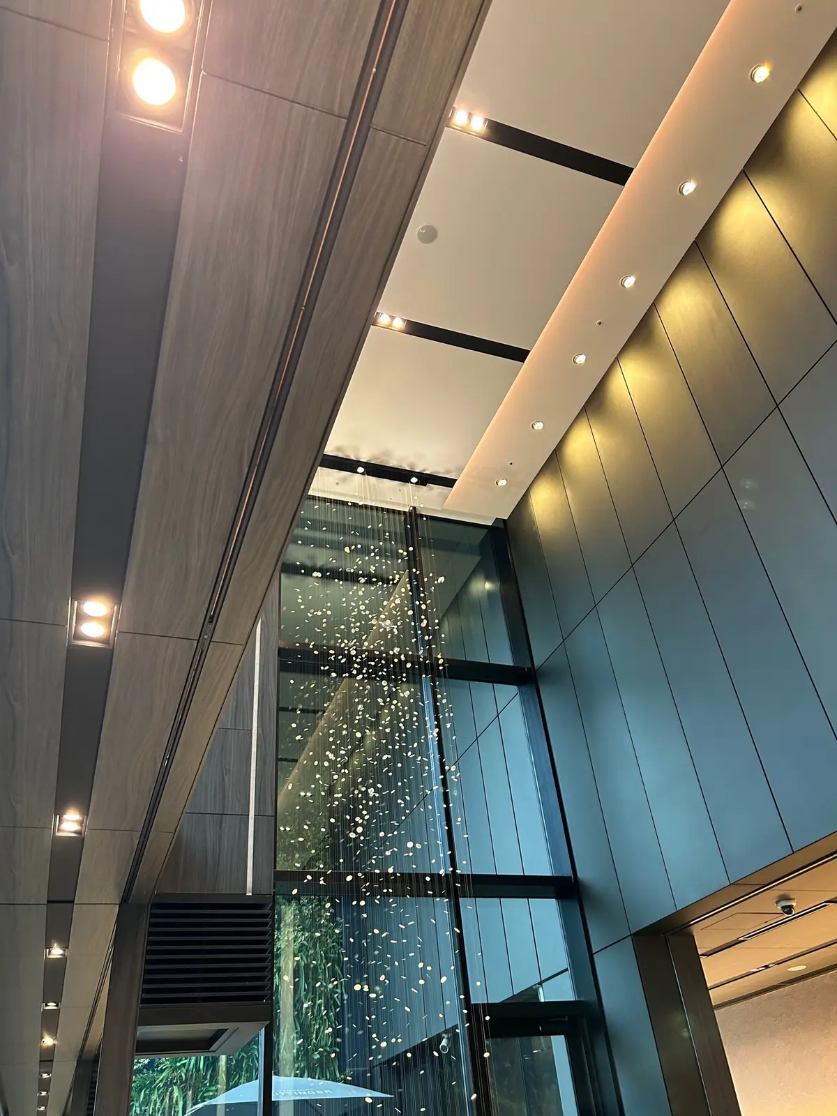 大雨でも会いたい、大好きなあの方と、ホテの画像_9