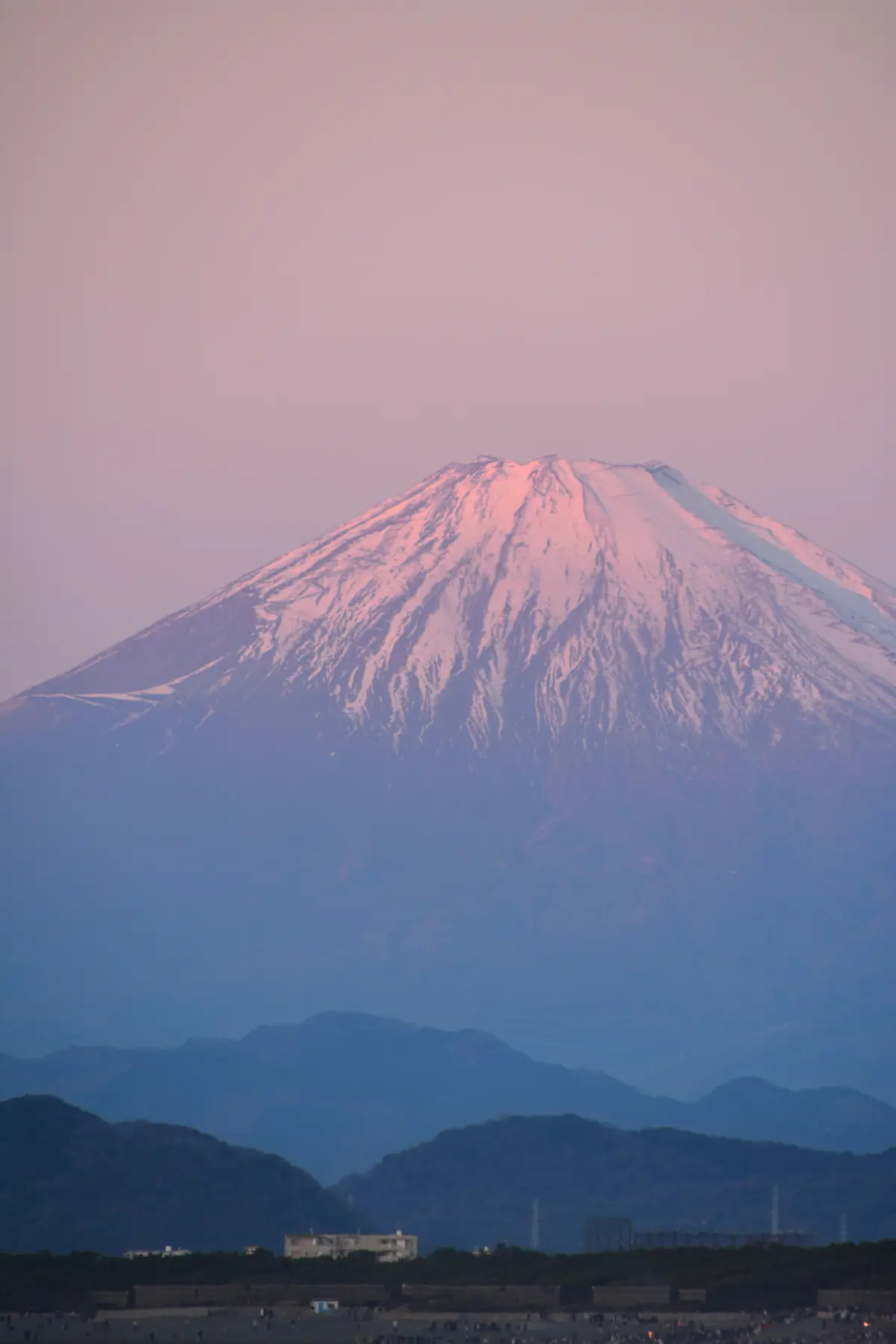 新春はエコファーダウンで横浜山下公園への画像_12