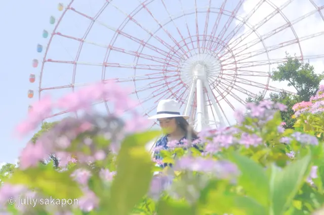 【さかぽんの冒険】初夏のお台場 あじさいの画像_8