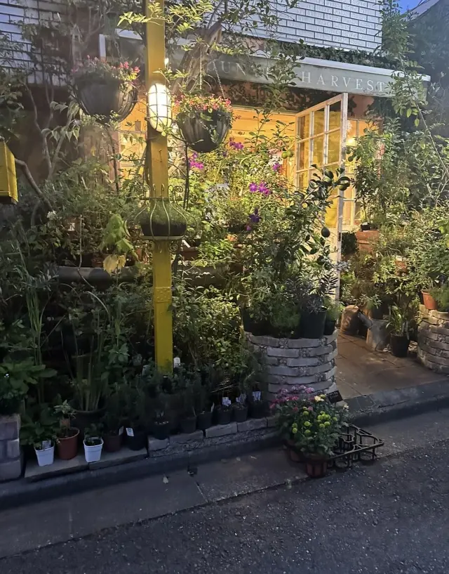 小さなしあわせを積み重ねて。の画像_16