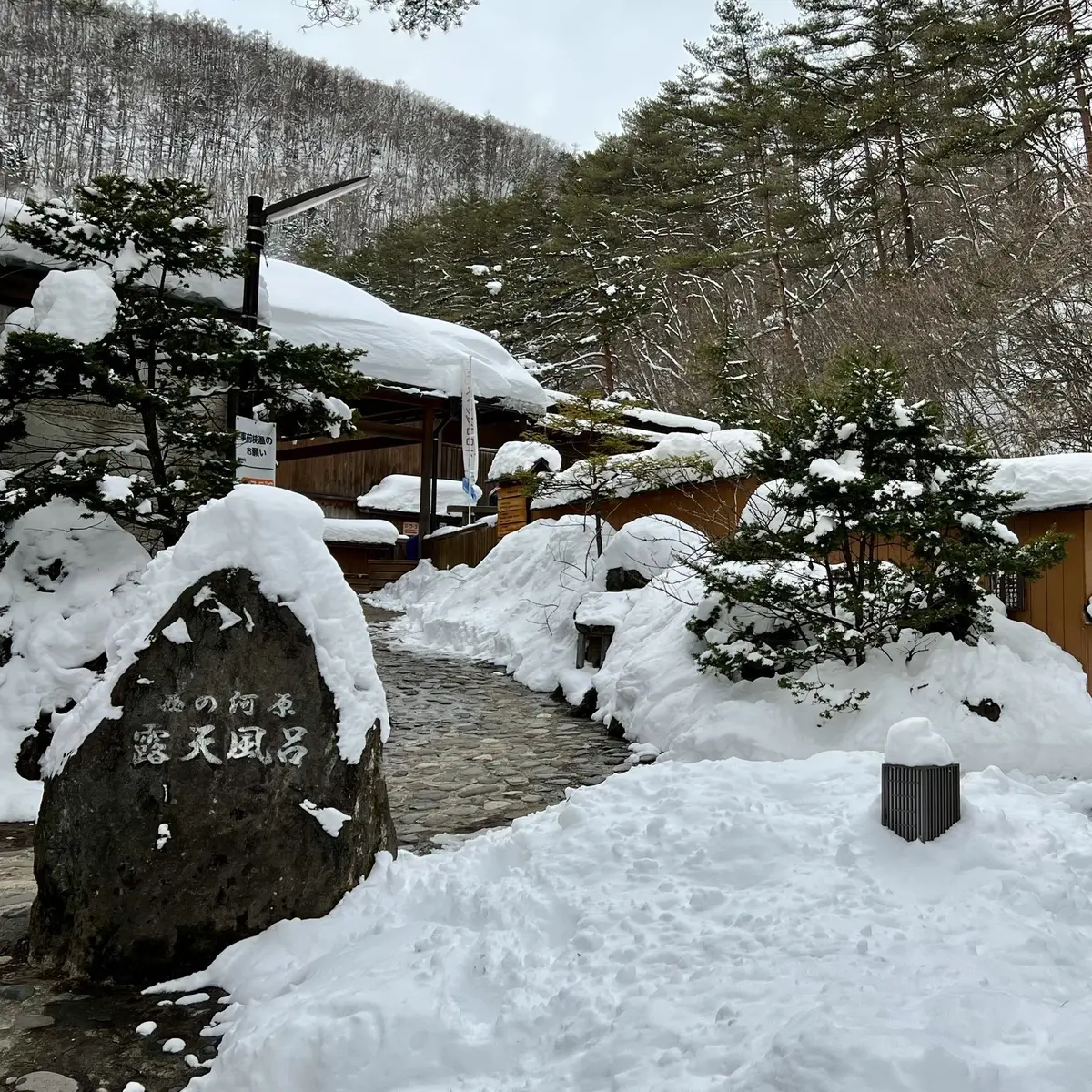 群馬県草津温泉「西の河原公園」にある「西の河原露天風呂」