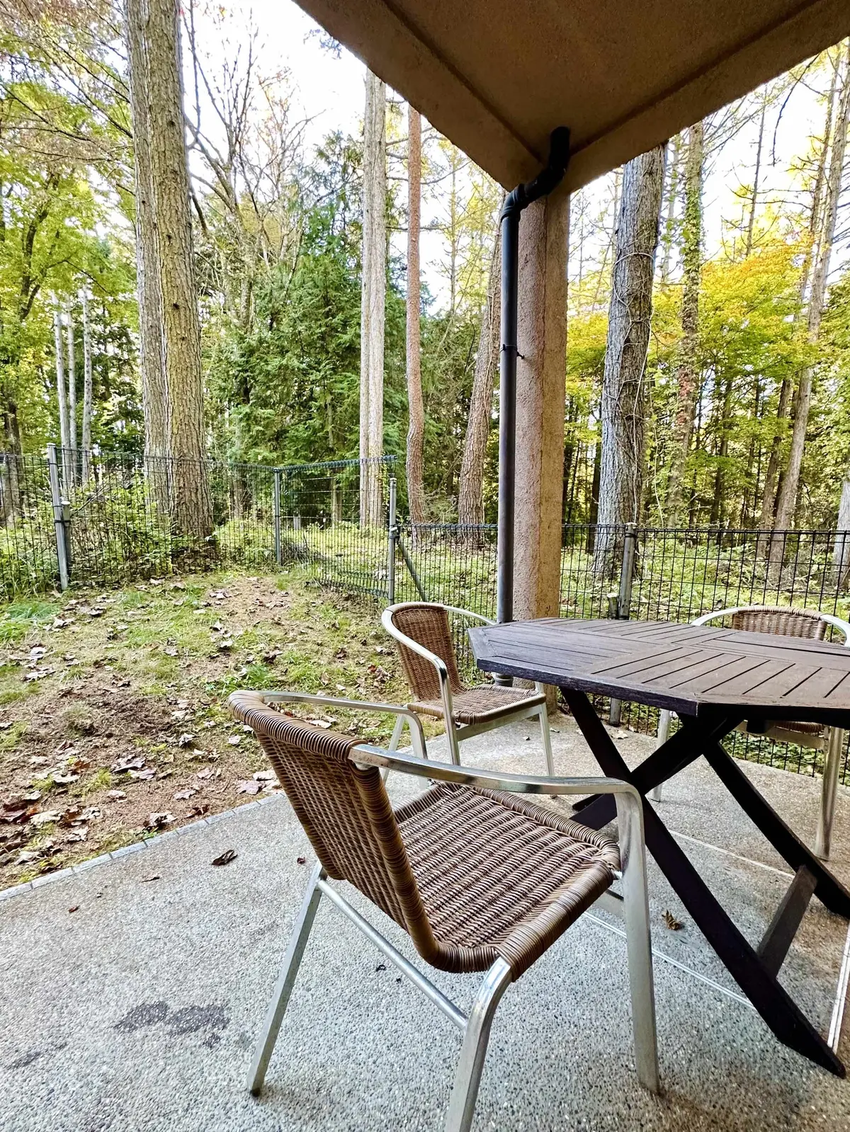 静かな時間と秋の景色を楽しむ河口湖の旅の画像_12