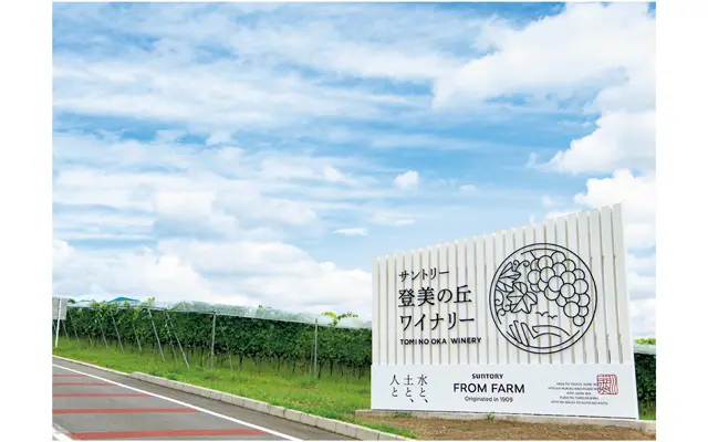 ワイナリーエントランス。左右にブドウ畑が広がる